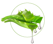 Výťažok z Aloe vera